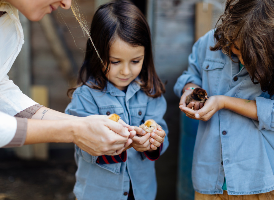 BCBS Secure Call Recording