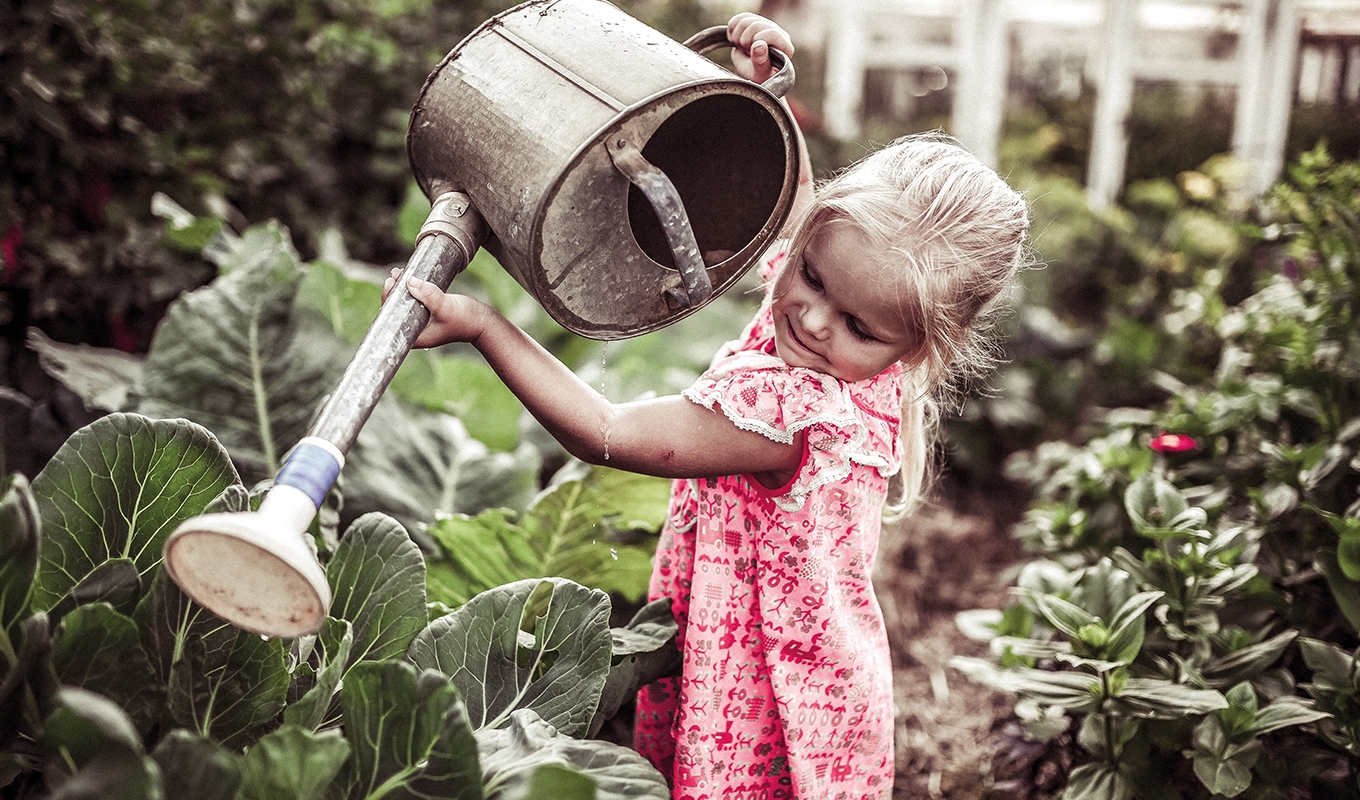 1360x800 little kiddo watering rgb