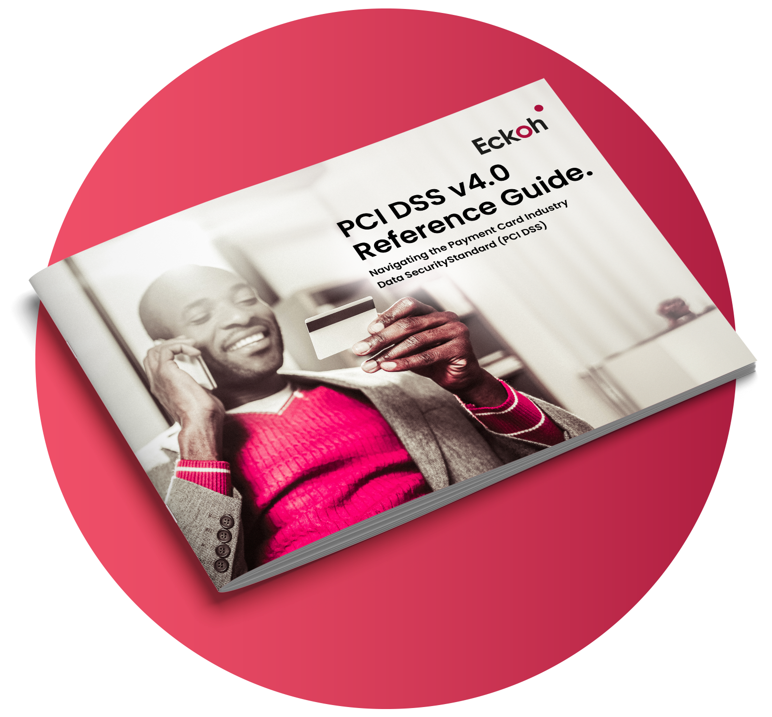 Brochure Mock Up PCIDSS Reference Guide