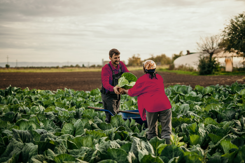 Ensuring secure payment solutions and data security within the contact center of a global agribusiness cooperative